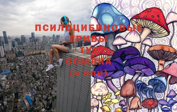 дживик Покачи